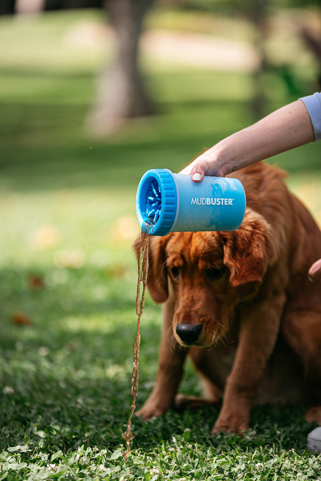 dexas-mudbuster-as-seen-on-tv-lavazampe-brevettato-per-cane-con-setole-in-silico image 3
