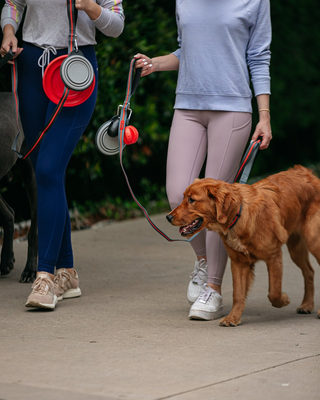 dexas-off-leash-set-guinzaglio-hands-free-con-palla-e-frisbee-agganciabili-e-col image 2