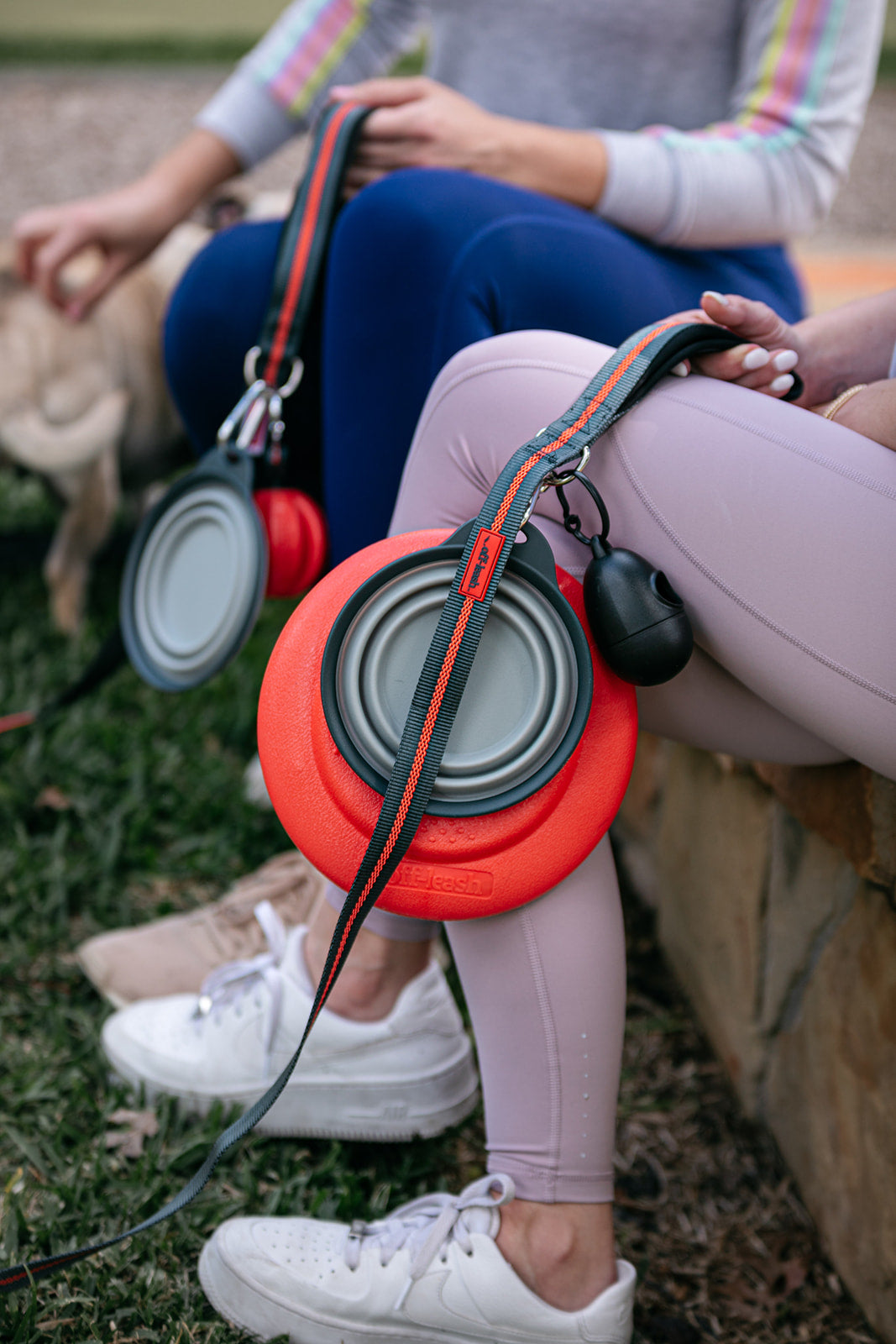 dexas-off-leash-set-guinzaglio-hands-free-con-palla-e-frisbee-agganciabili-e-col image 4