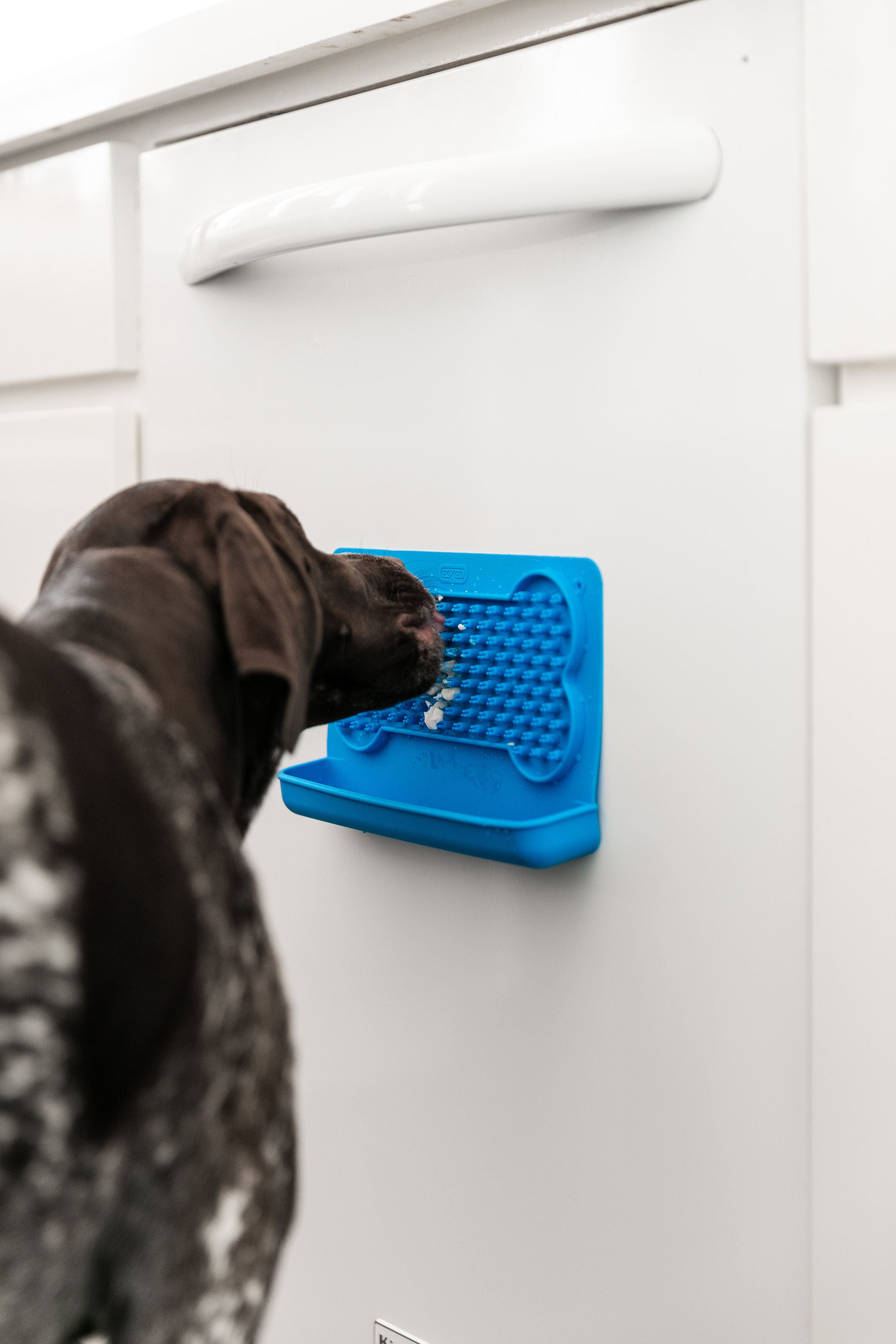 dexas-snack-distract-tappetino-lecchetta-in-silicone-con-puntine-a-tre-punte-e-v image 2