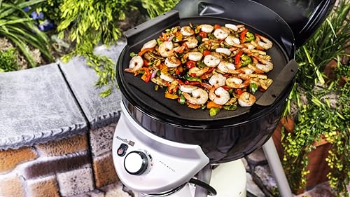char-broil-140-572-piastra-in-ghisa-compatibile-con-barbecue-patio-bistro-240 image 5