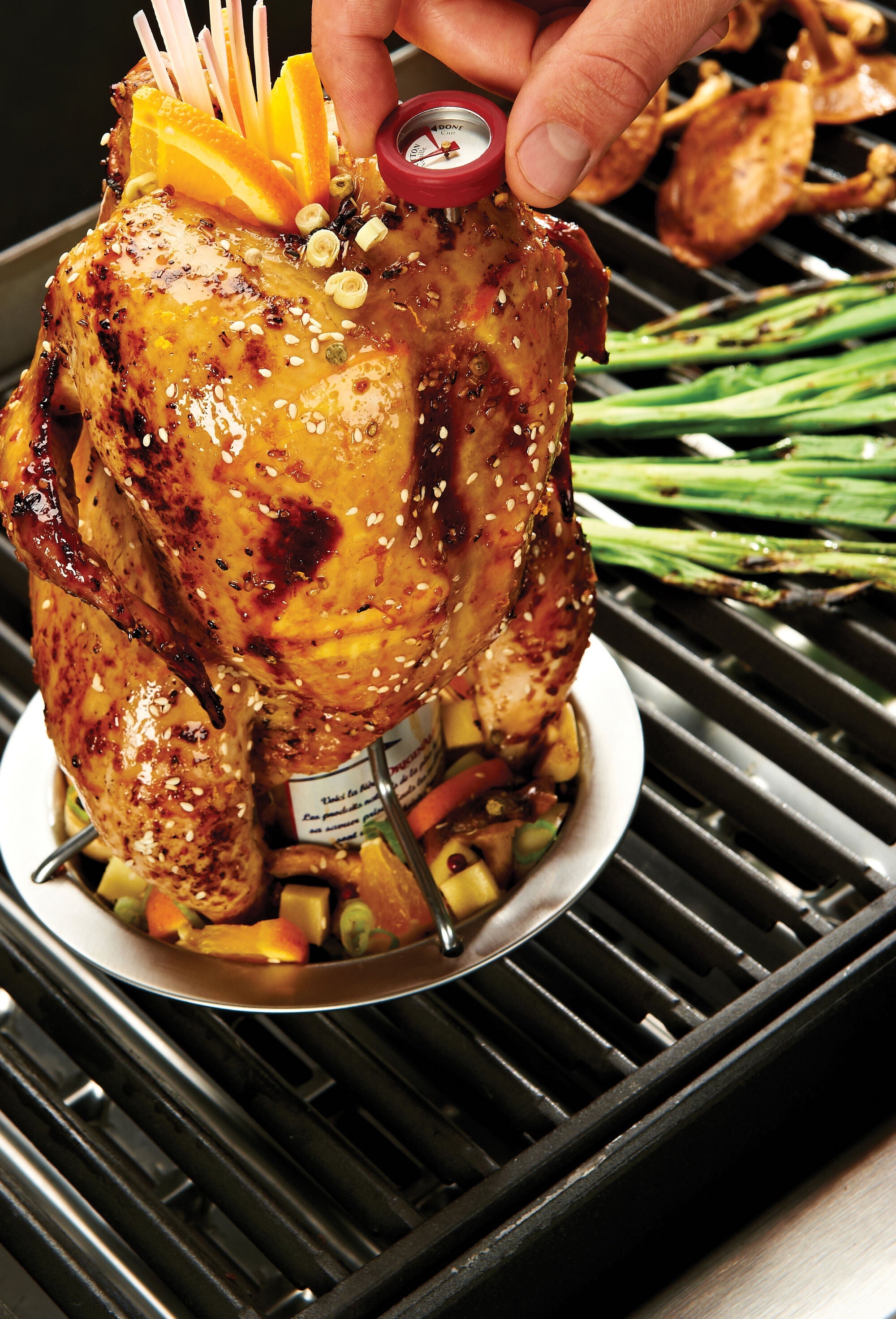 broil-king-chicken-roaster-supporto-in-acciaio-inox-per-pollo-alla-birra-con-teg image 3