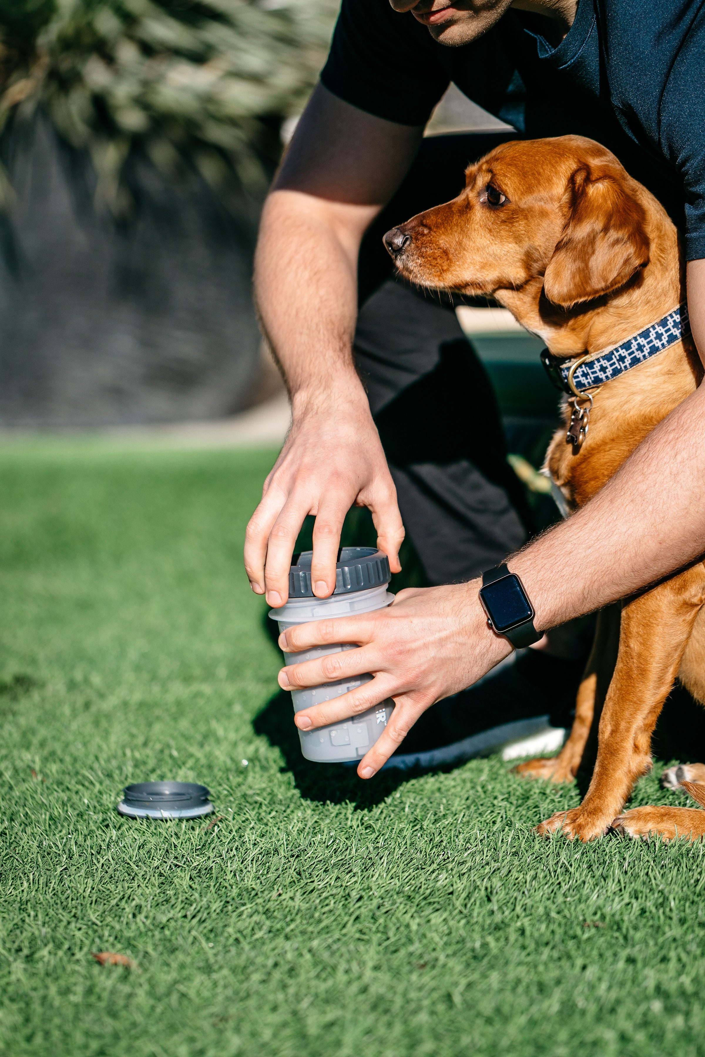 dexas-mudbuster-with-lid-lavazampe-per-cane-con-coperchio-in-silicone-per-zampe- image 2