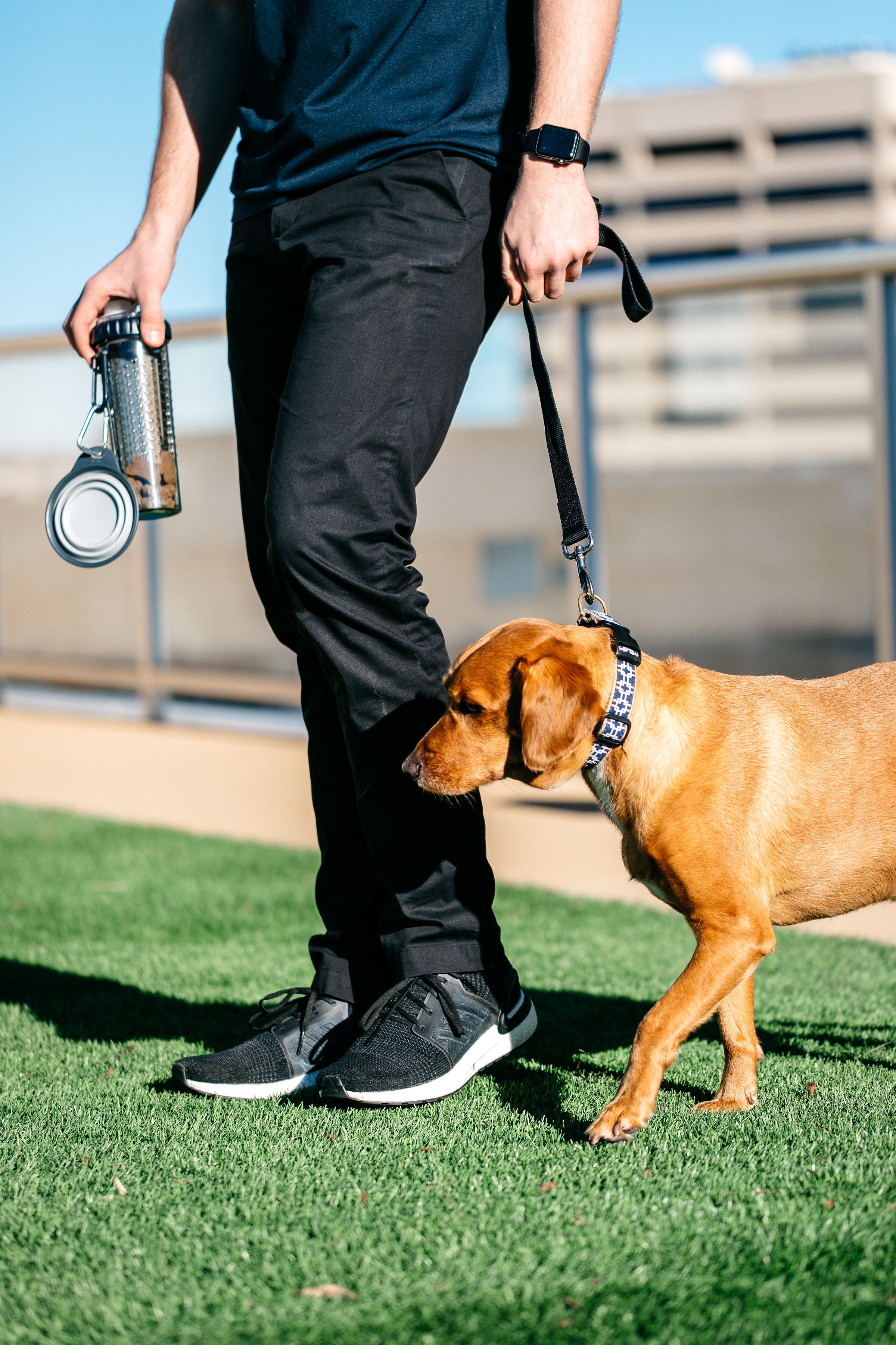 dexas-snack-duo-24-oz-borraccia-per-cane-con-doppia-camera-acqua-e-snack-nuovi-c image 3