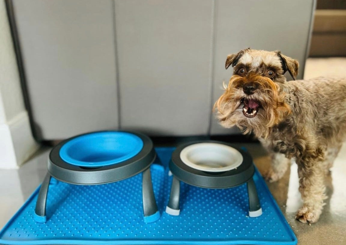 dexas-popware-single-elevated-feeder-ciotola-rialzata-pieghevole-per-cani-removi image 2