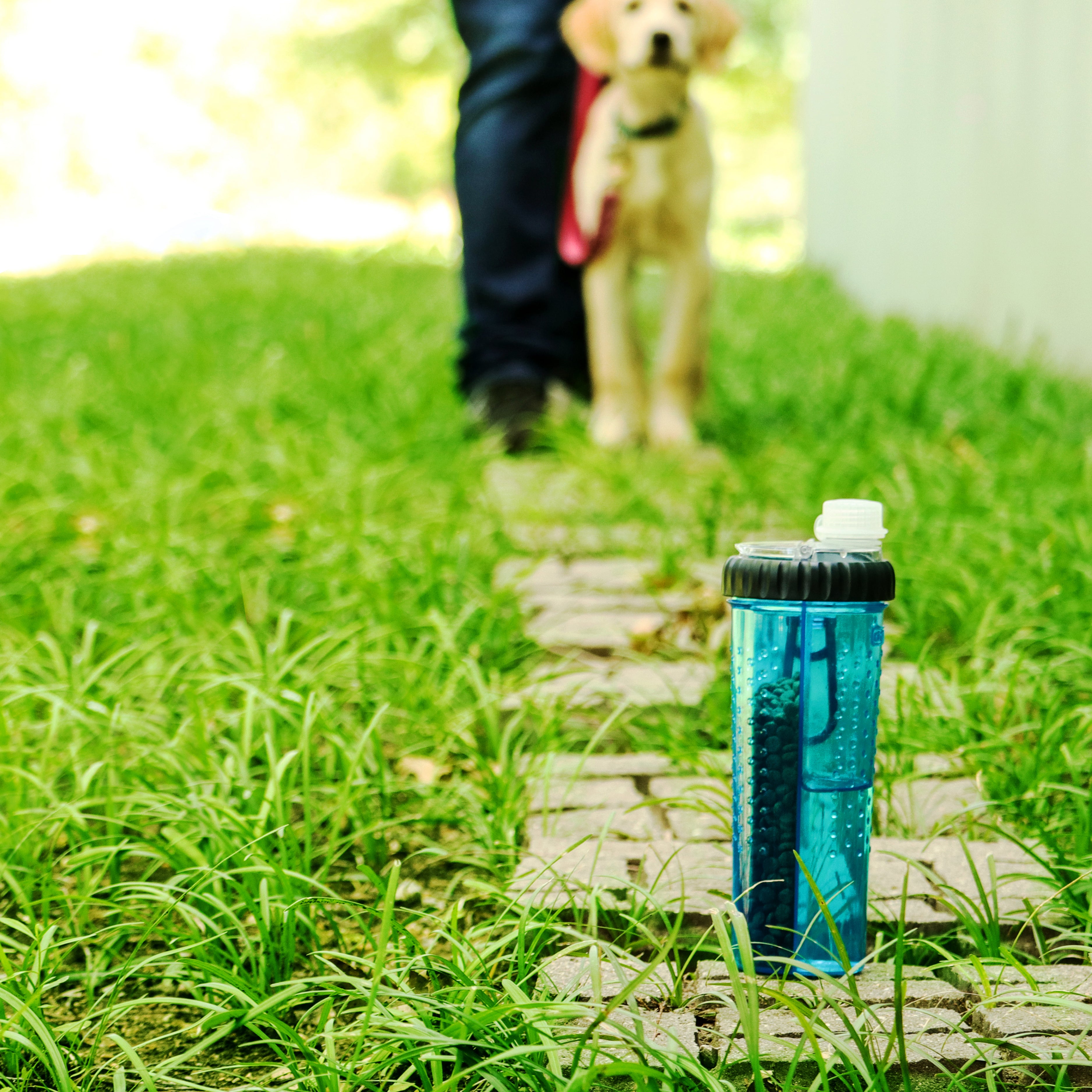 dexas-snack-duo-24oz-bottiglia-per-cani-a-doppio-scomparto-acqua-e-snack-in-trit image 2